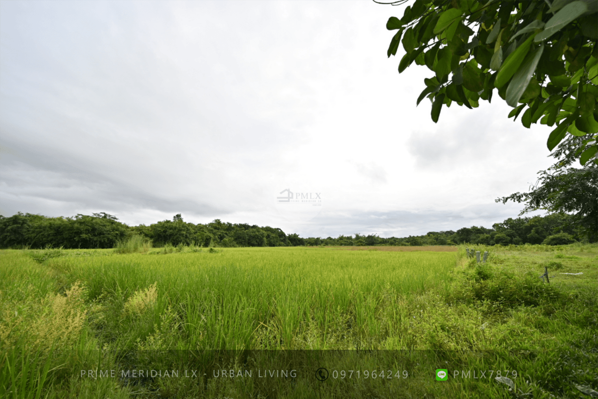 Chiang Rai Land - 48 Rai