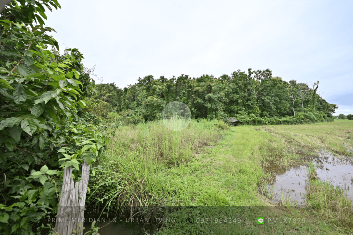 Chiang Rai Land - 48 Rai