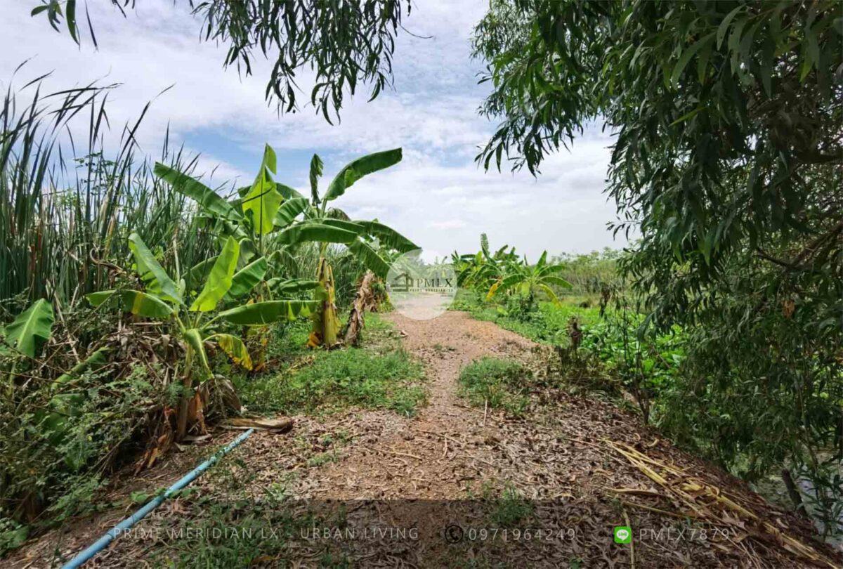 Pathum Thani Empty Land / 123-1-23 Rai