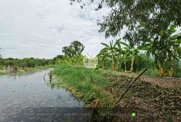 Pathum Thani Empty Land / 123-1-23 Rai