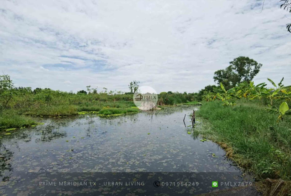 Pathum Thani Empty Land / 123-1-23 Rai