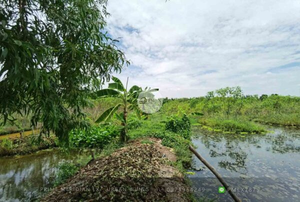 Pathum Thani Empty Land / 123-1-23 Rai